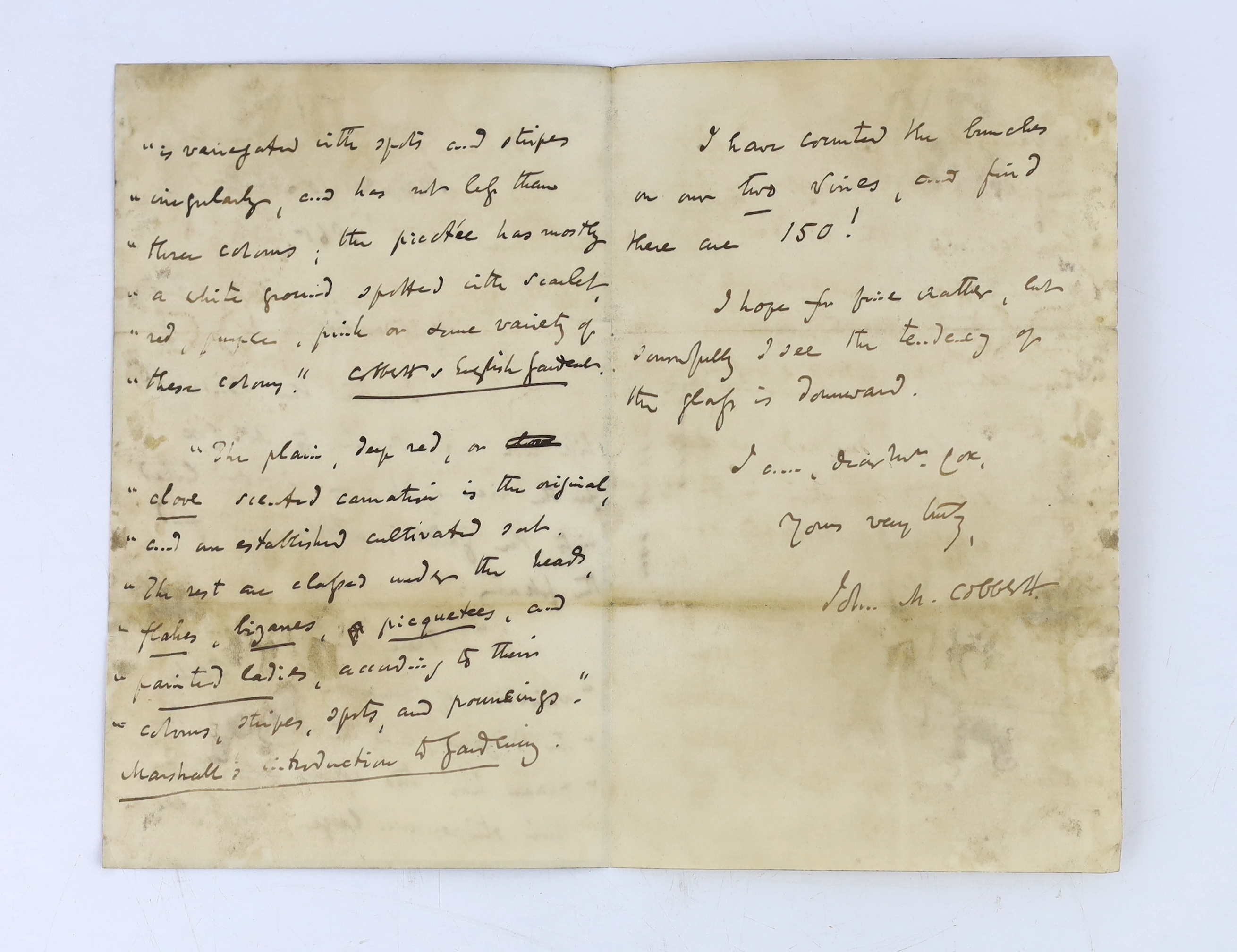 The Cox family of Farningham in Kent, 1726-1865, i. Letters of administration (Prerogative Court of Canterbury) of the estate of Mary Cox of Eynsford in Kent, widow, granted to her son Henry Cox; 6 Dec 1726